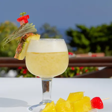 Hotel Jardin Tecina