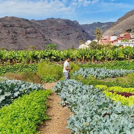 Hotel Jardin Tecina Playa de Santiago (Isla de la Gomera)