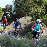 מלון Jardin Tecina