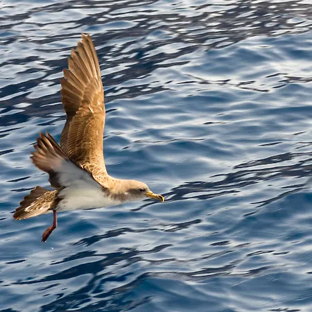 Jardin Tecina 4* 플라야 데 산티아고