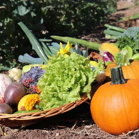 호텔 Jardin Tecina 플라야 데 산티아고