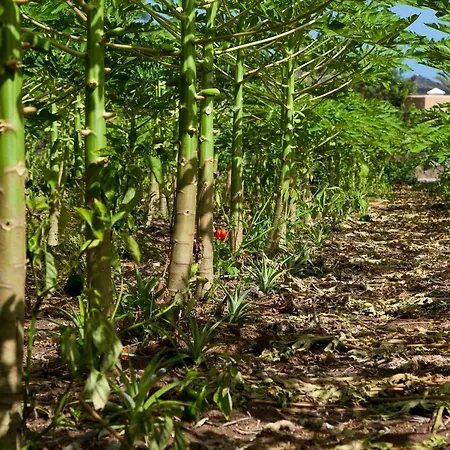 Jardín Tecina